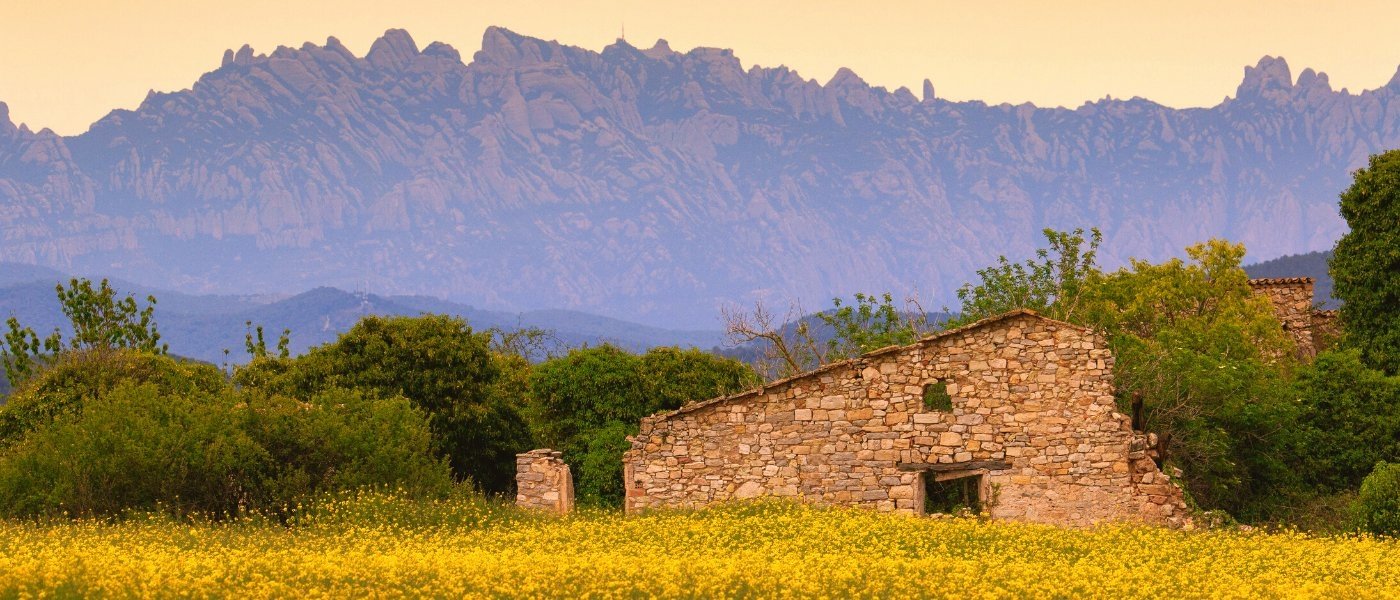 Penedes landscape